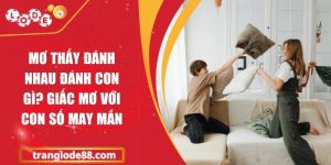 Mơ thấy đánh nhau đánh con gì