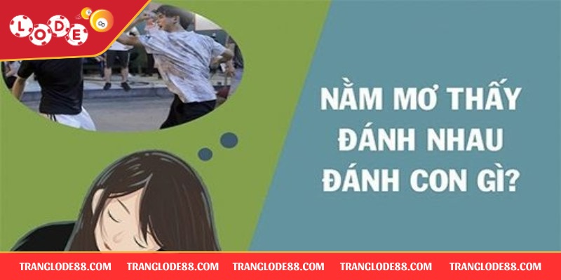 Khái quát giấc mơ thấy đánh nhau đánh con gì?