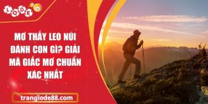 Mơ thấy leo núi đánh con gì