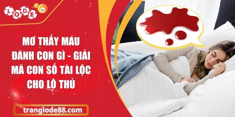 Mơ thấy máu đánh con gì