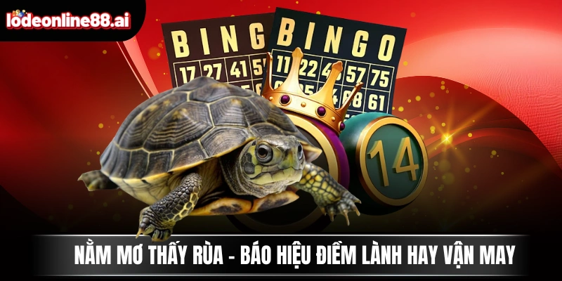 Nằm Mơ Thấy Rùa - Báo Hiệu Điềm Lành Hay Vận May